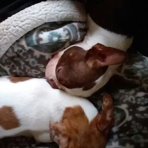 Meet your Posher, Veronica